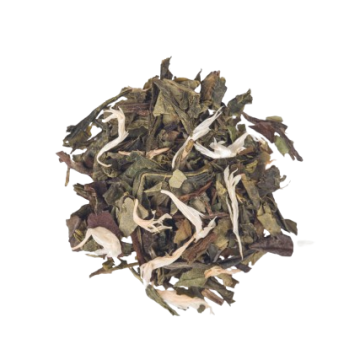 Thé Abricot - Délices Abricot