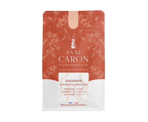 Apaneca Llamatepec - 250g