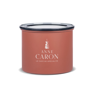 Airscape - Anne Caron