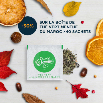 Thé à la menthe du Maroc - Boîte de 40 sachets